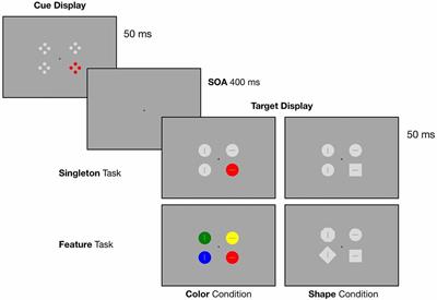 Subtle Distinctions: How Attentional Templates Influence EEG Parameters of Cognitive Control in a Spatial Cuing Paradigm